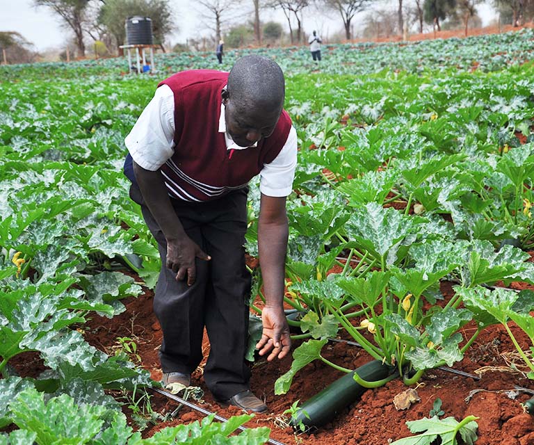 lowereasternouter National Irrigation Authority