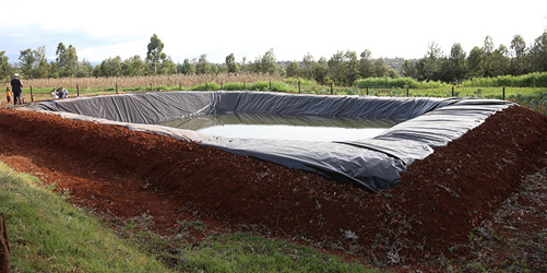 water-harvesting-bg-501 – National Irrigation Authority